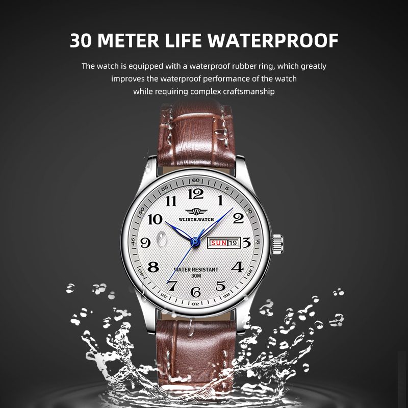 WLISTH Luxury Brand Men's Watc – Luxury Watch Manufacturers recenzja i cena