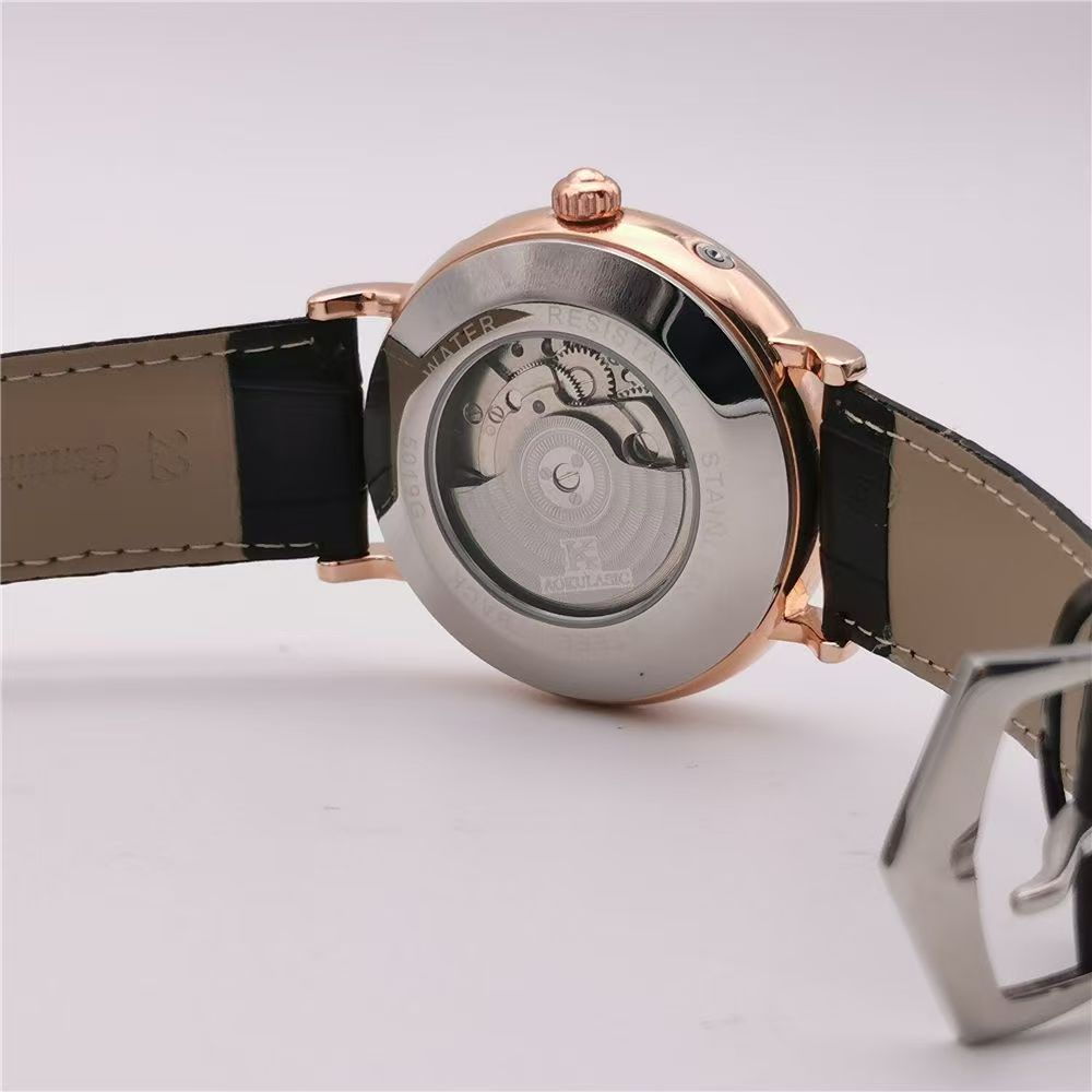High-End Luxury Men's Mechanic – Luxury Watch Name Brands recenzja i cena